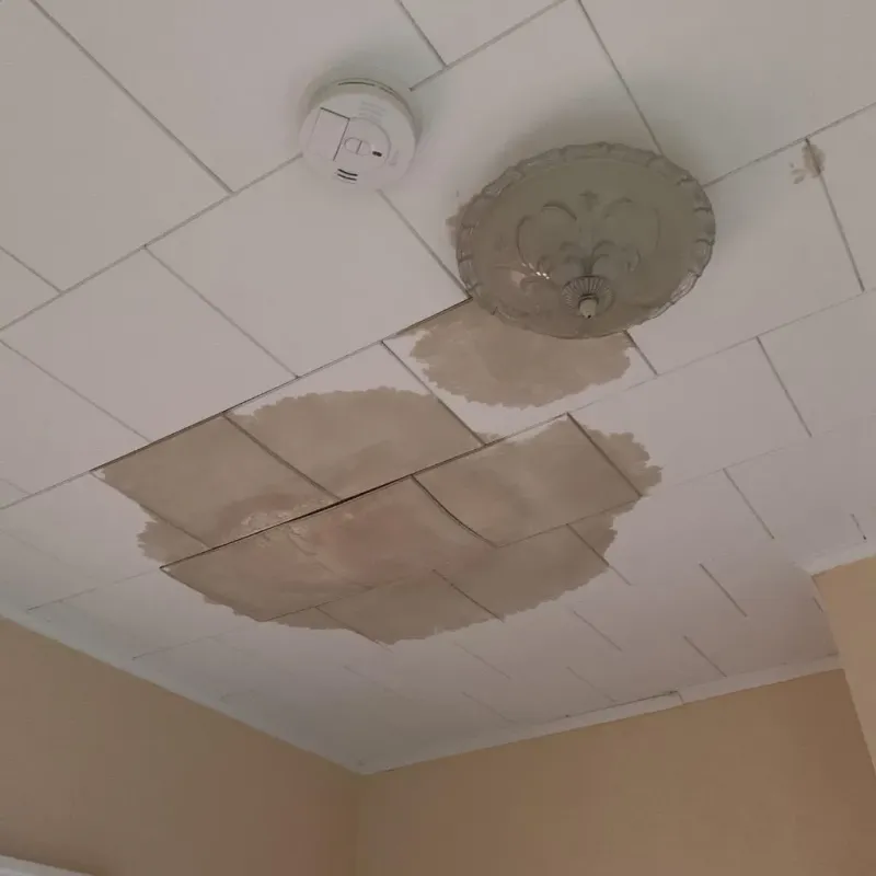 Ceiling Water Damage Repair in Beckham County, OK