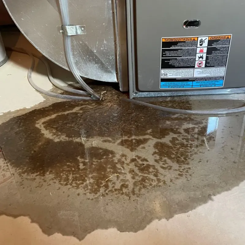 Pipe Burst and Leak Restoration in Beckham County, OK